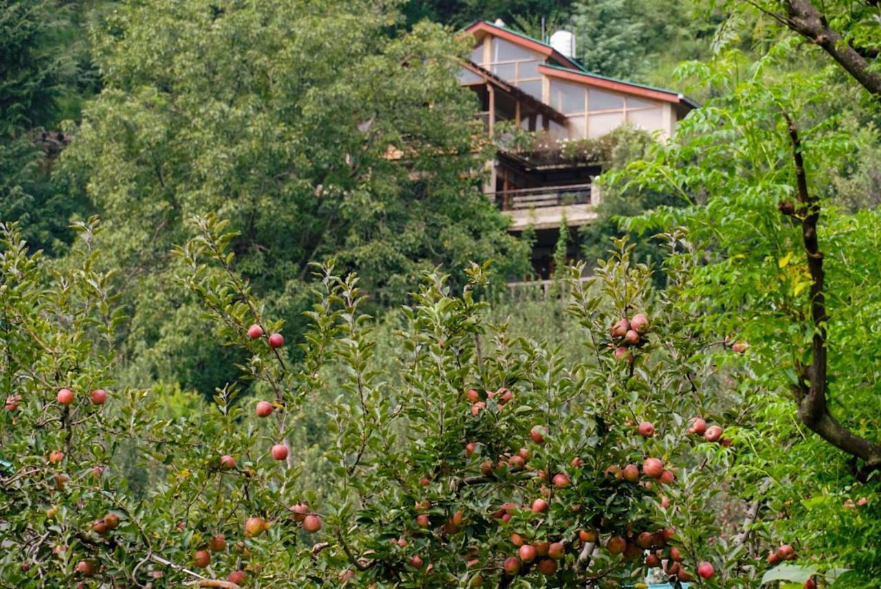 Autumnred Cottage Manali 외부 사진